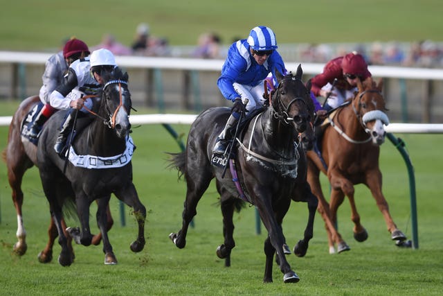 Elarqam will bid to claim his first victory since landing the Tattersalls Stakes at Newmarket in September 2017
