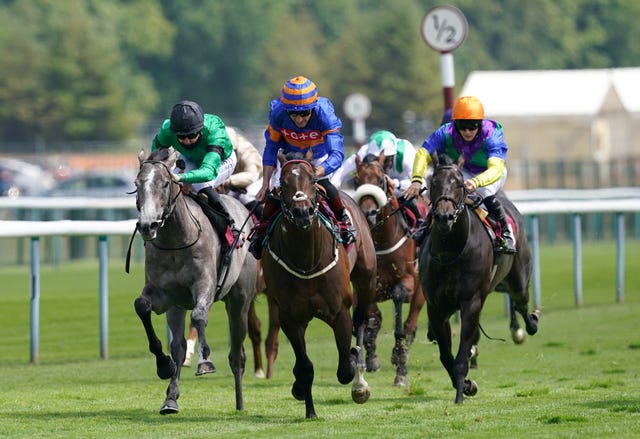 Oneforthegutter (centre) makes his three-year-old debut for Ian Williams