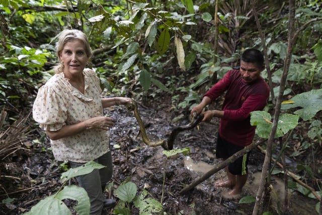 The duchess with a local tour guide holds a Green Anaconda snake