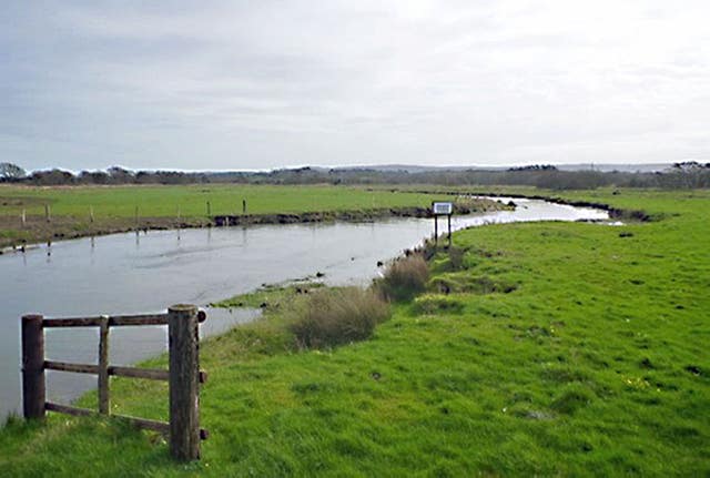 Southern chalk stream salmon