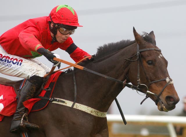 Colin Tizzard plans to keep Kilbricken Storm busy following his accomplished Cheltenham triumph 