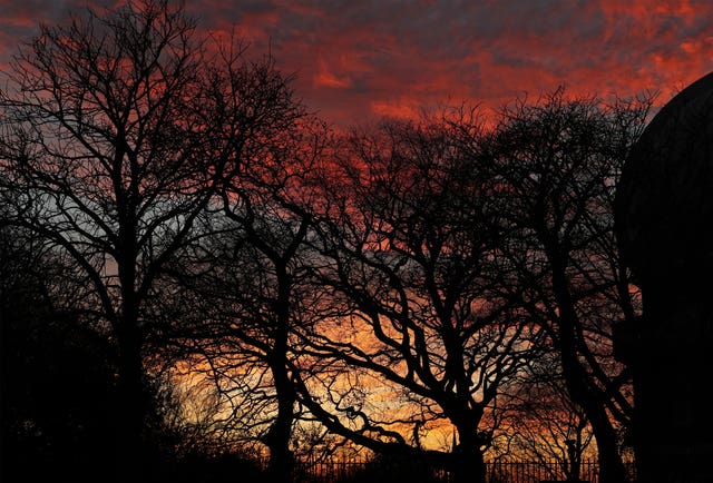Trees