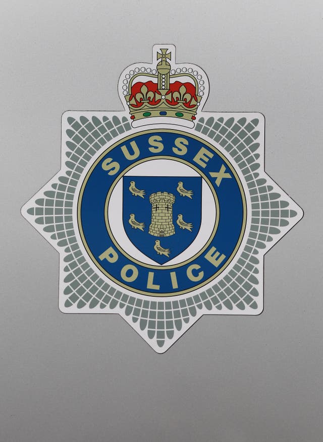 Sussex Police's disciplinary process was likely to take up to three months to complete, the court was told (Gareth Fuller/PA)