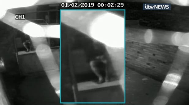 CCTV of a man sitting down minutes before missing student Libby Squire was last seen