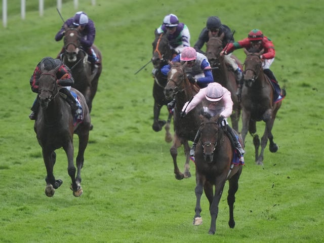Maltese Cross (left) has only met with defeat once this season in the Derby