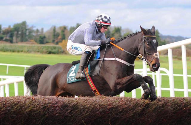 Castlegrace Paddy impressed in the Fortria Chase