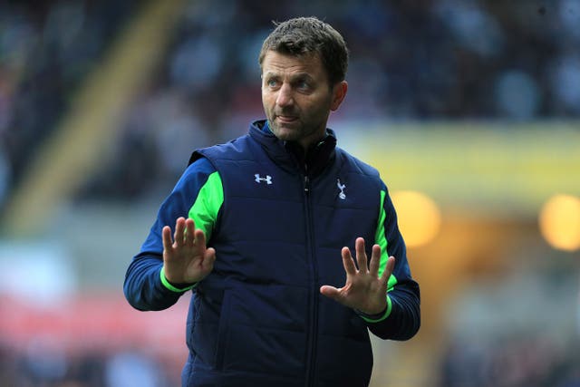 Tim Sherwood succeeded Villas-Boas as Tottenham boss (Nick Potts/PA)