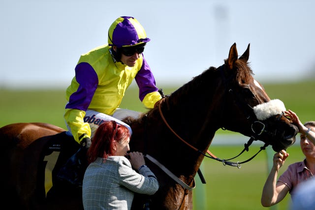 Brando after winning the Abernant Stakes at Newmarket for the second year in succession