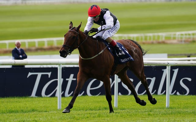 Impressive Irish Guineas winner Homeless Songs does not line up