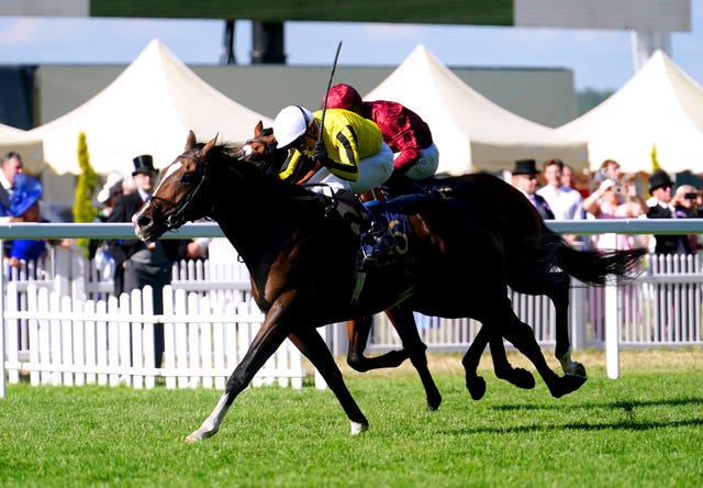 Burdett Road has won at Royal Ascot in the past