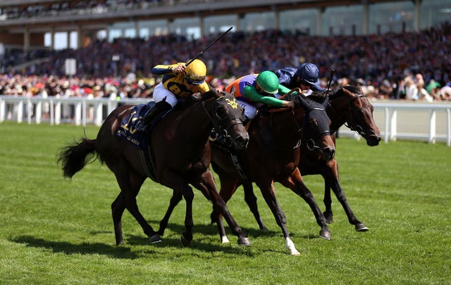 Shang Shang Shang won the Norfolk Stakes for Wes Ward last year