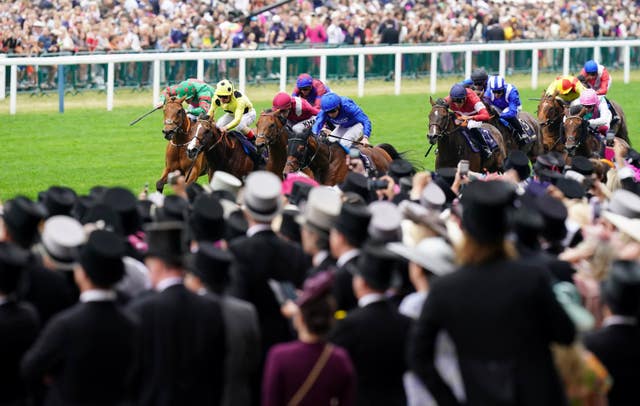 Packed crowds look on as Noble Truth fends off all-comers in the Jersey