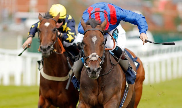 Dubious Affair (right) is to stay in training in 2021