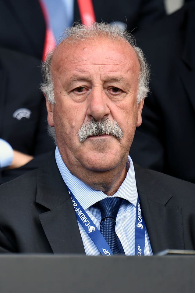 Vincente Del Bosque, Spain manager