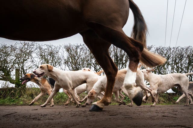Boxing Day Hunts