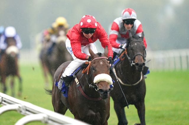 Greenbarn opens her account in the Northern Commercials Iveco And Fiat Restricted Novice Stakes