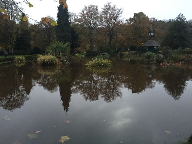 Autumn weather Nov 8th 2019