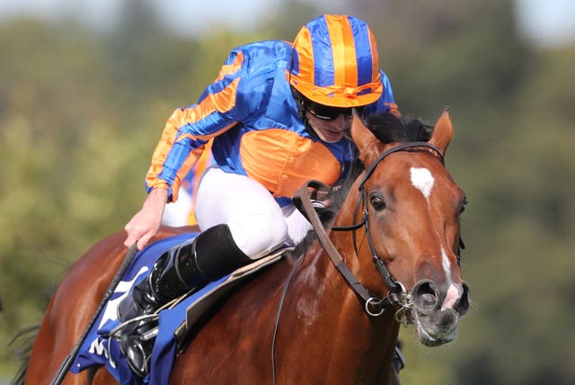 Mogul is among O'Brien's leading lights