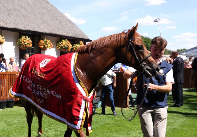 Zavateri in the parade ring after winning the July Stakes