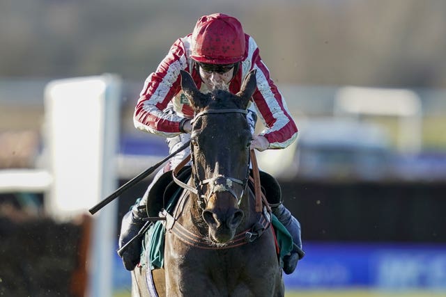 Will Sting strikes under Aidan Coleman