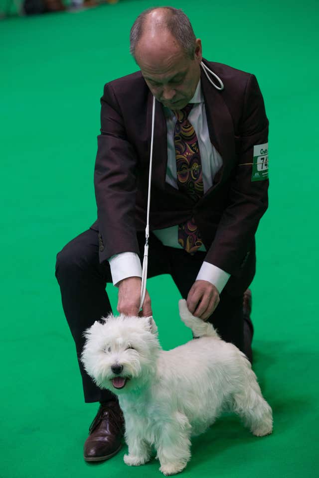 Crufts 2018