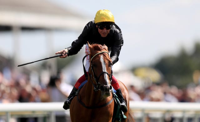 Brilliant stayer Stradivarius is being prepared for another campaign