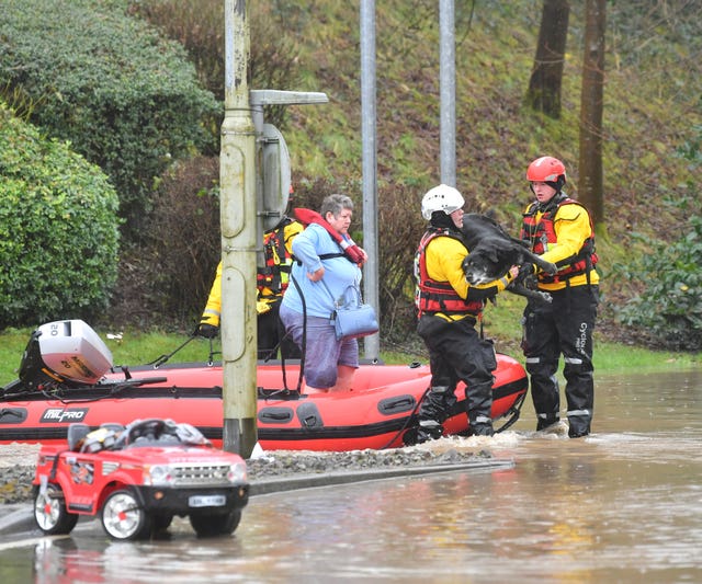 Rescue workers carry a dog to safety