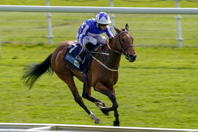 Winter Power was a brilliant winner at York last month