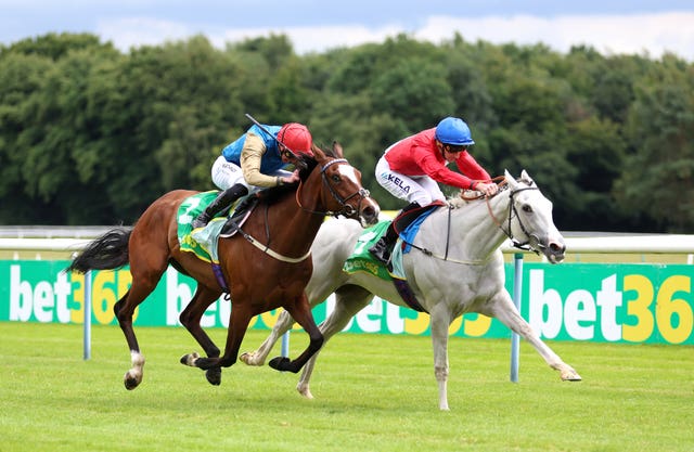 Scenic (left) pushed Estrange all the way at Haydock