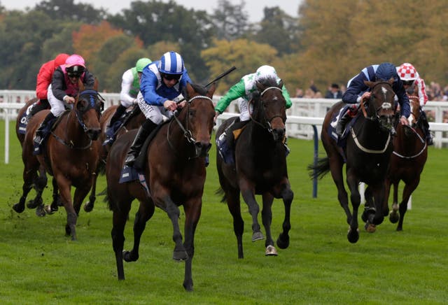 Emperor Max (black and pink) was not disgraced behind Muhaarar