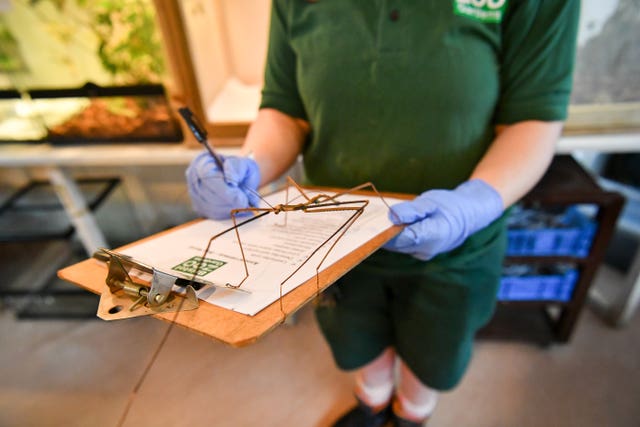 Bristol Zoo annual stocktake