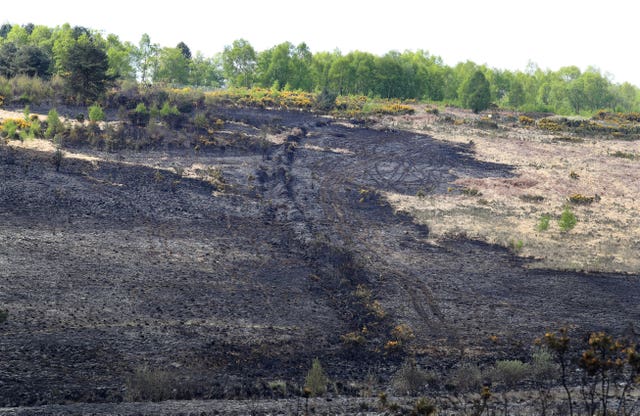 Ashdown Forest fire