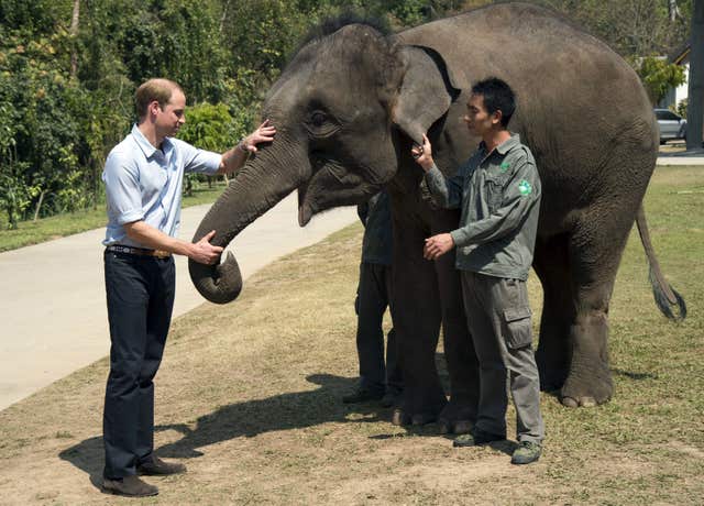 The Duke of Cambridge visit to China – Day 4