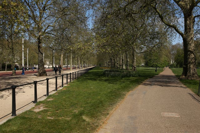 More diversity is needed in city trees, experts say (Yui Mok/PA)