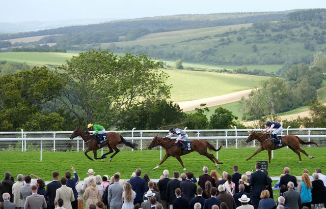 Achelois gave Andrew Balding another Goodwood winner