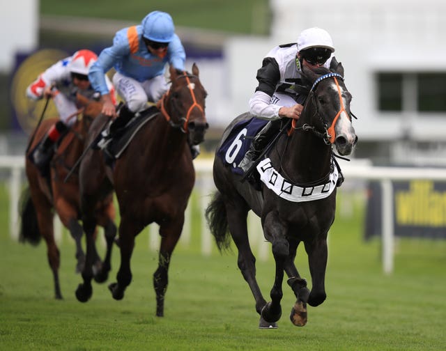 Tip Two Win is a top-class performer at his best