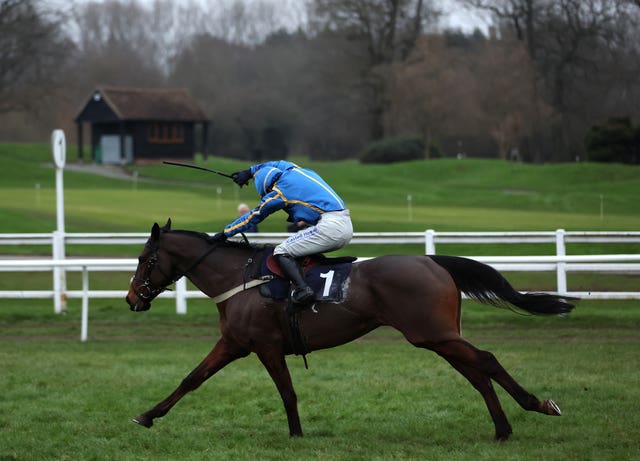 The Galloping Bear was a Lingfield winner last time out
