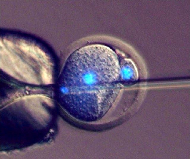 Sperm and skin cells experiment