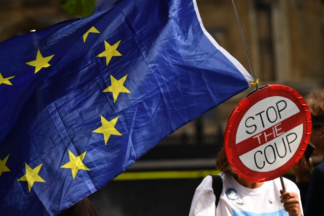 Brexit protester