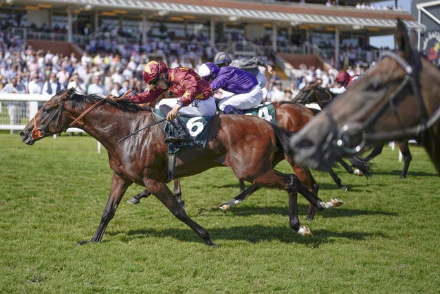 Gubbass landed the Weatherbys Super Sprint Stakes last season