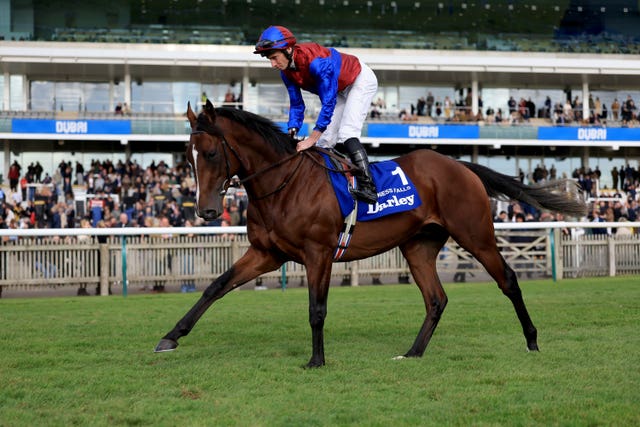 Ryan Moore going down to the start aboard Darkness Falls
