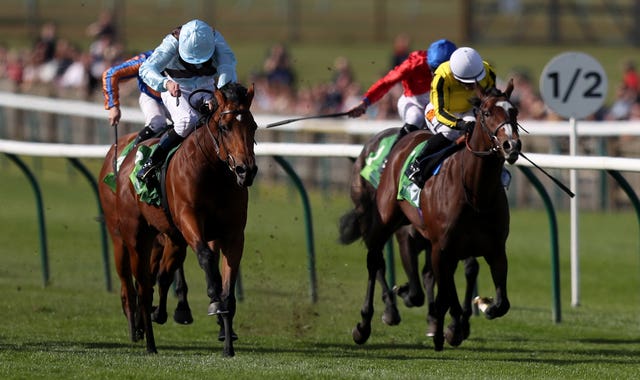 Fairyland (left) had to tough it out at Newmarket