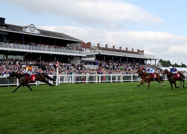 Lethal Levi (far left) leads home two stablemates