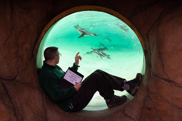 ZSL London Zoo annual stocktake