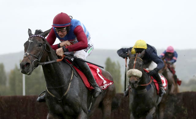 Mulcahys Hill may be switched to cross country fences next season (Tim Goode/PA Images)