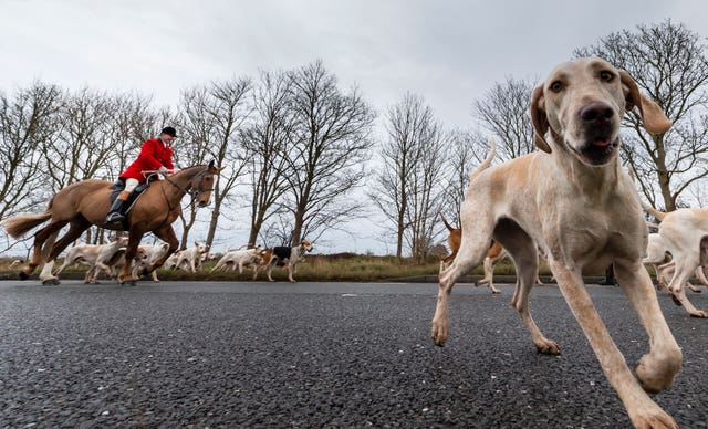 Boxing Day Hunts