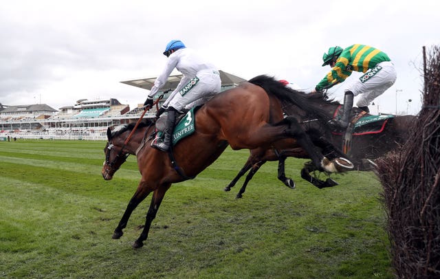 Hitman (near side) ran a good race at Antree last year