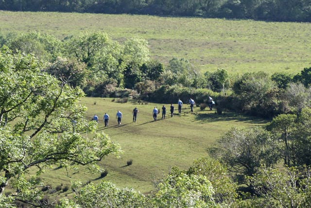 An aerial view of a line of officers as they search a field