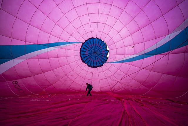A balloon pilot checking inside a purple hot air balloon