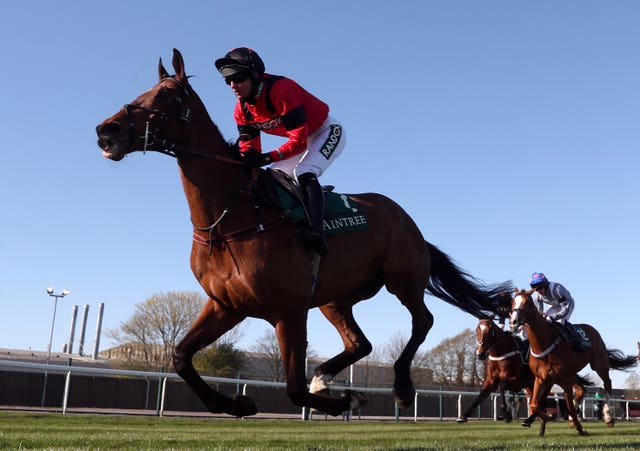 Star novice Ahoy Senor could be saved for next season